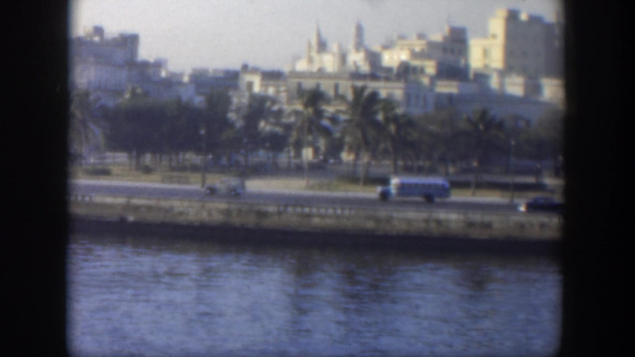 Cars and a white bus travel on a waterfront road below palm trees and distant buildings.