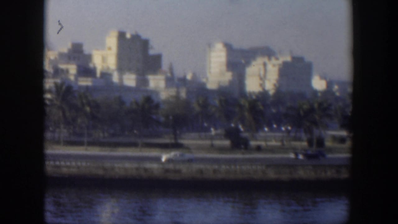 City skyline beyond palms and a waterfront road, seen through a dark vertical frame.