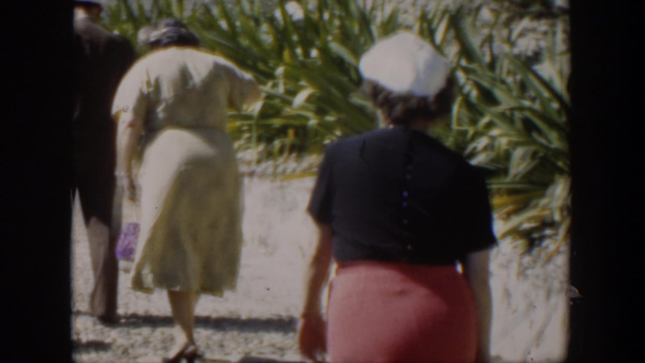 Dressed adults walk away along a sunny harbor promenade with greenery beside them.