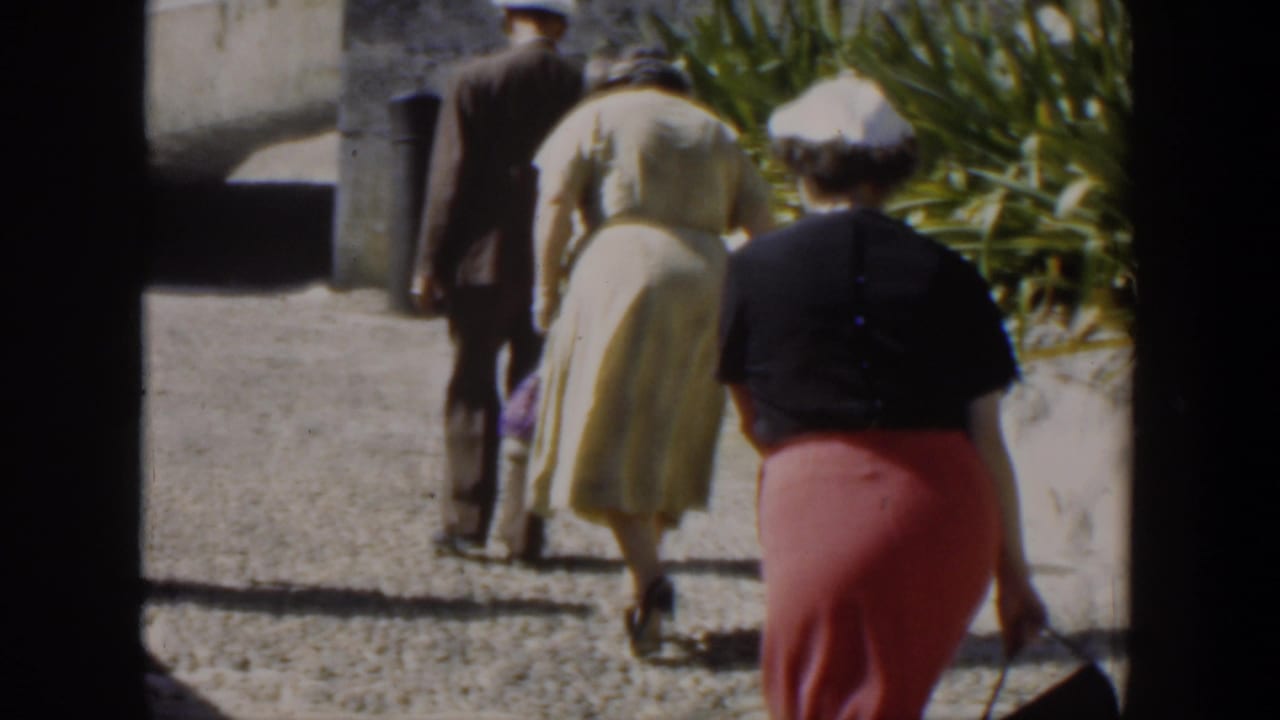 Two women and a man walk away on a bright waterfront path near plants.