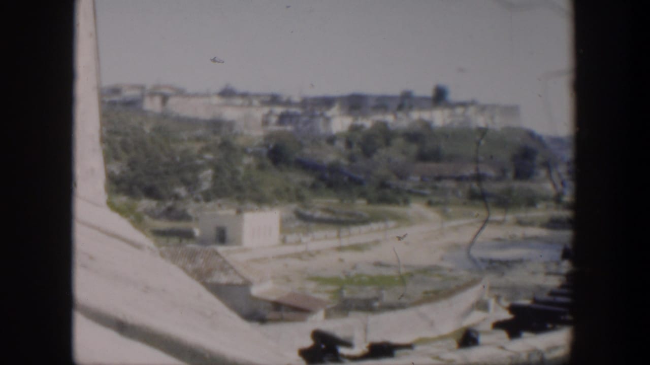Elevated view of a stone waterfront fort with cannons, trees, and white buildings in the distance.