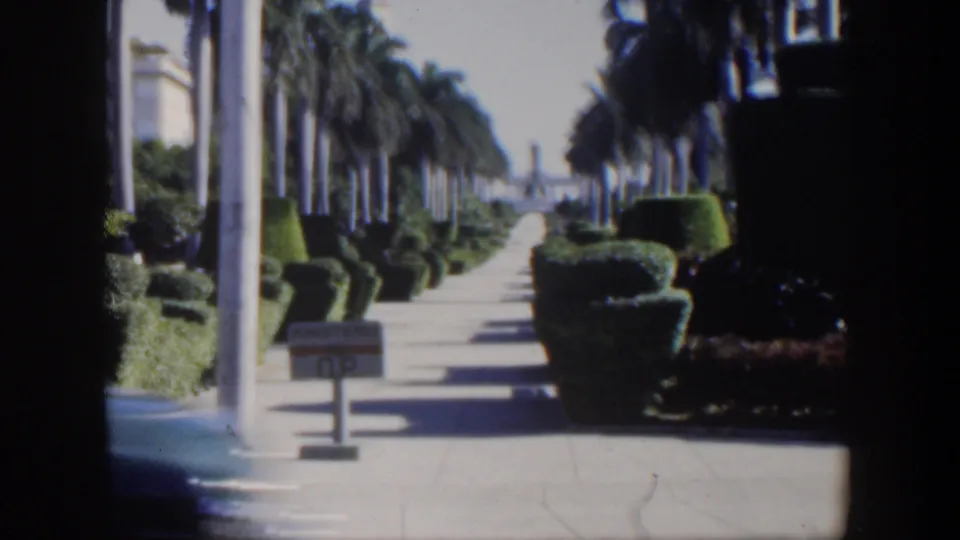 1951 Cuba 8mm frame showing a sunlit palm-lined promenade or waterfront walkway with hedges, posts, and distant city elements.