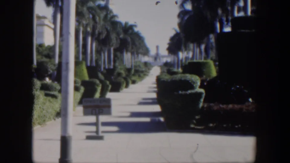 1951 Cuba 8mm frame showing a sunlit palm-lined sidewalk with manicured hedges, a small sign, and a distant monument-like form.