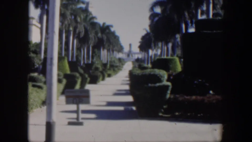 1951 Cuba 8mm frame with a straight palm-lined walk, clipped shrubs, a small sign, and deep shadows from nearby landscaping.