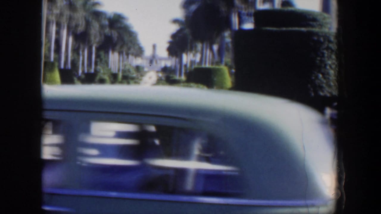 Palm-lined walkway with hedges and a blurred car crossing the foreground.