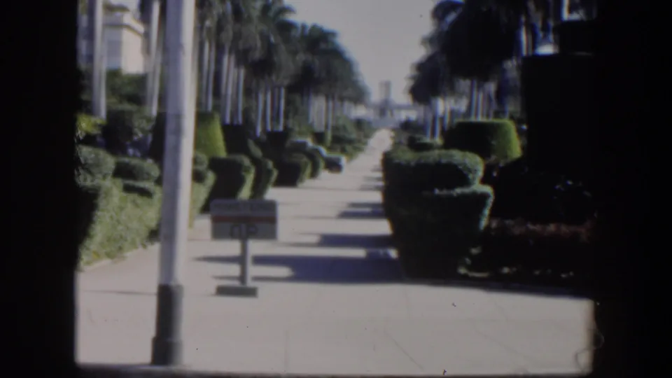 1951 Cuba 8mm view down a sunlit walkway bordered by palms and shaped hedges, with a lamppost and small sign in front.