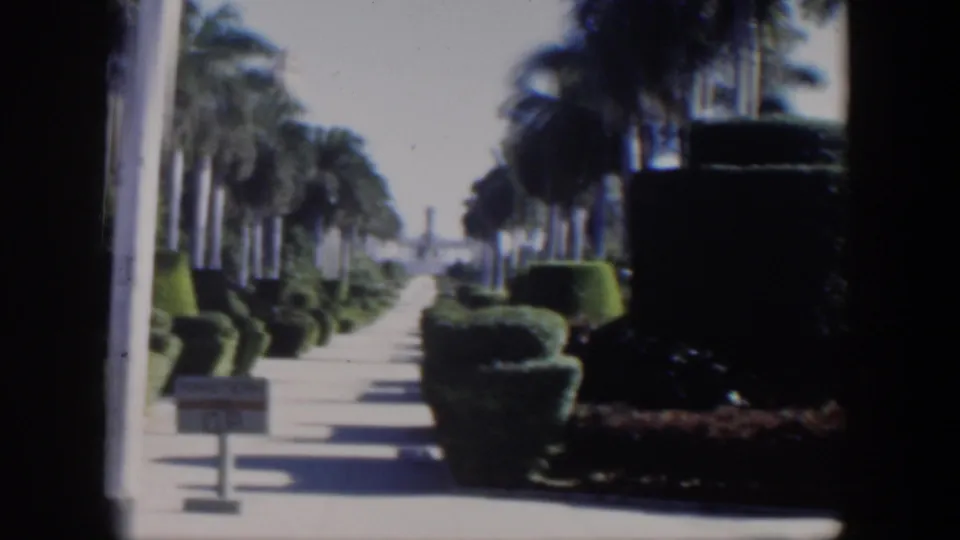 1951 Cuba 8mm view of a sunny walkway lined with palms and hedges, with a small sign in front and dark foliage shadow at the right edge.