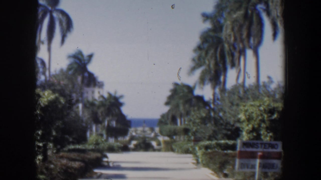 Seaside garden path with palms, hedges, ocean horizon, and partial Spanish sign.