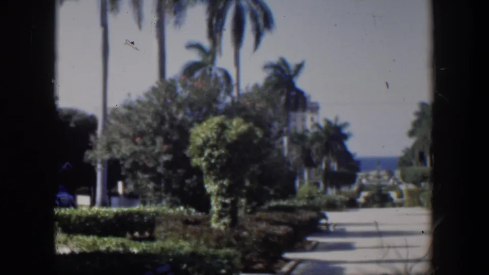1951 Cuba 8mm frame showing a landscaped palm walkway and trimmed hedges with the sea beyond.