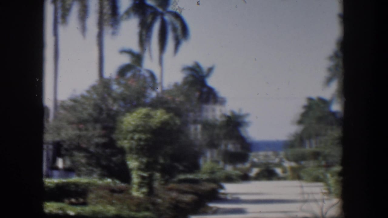 1951 Cuba home-movie view of a sunlit tropical road, palms, hedges, and distant ocean framed by dark vertical window edges.