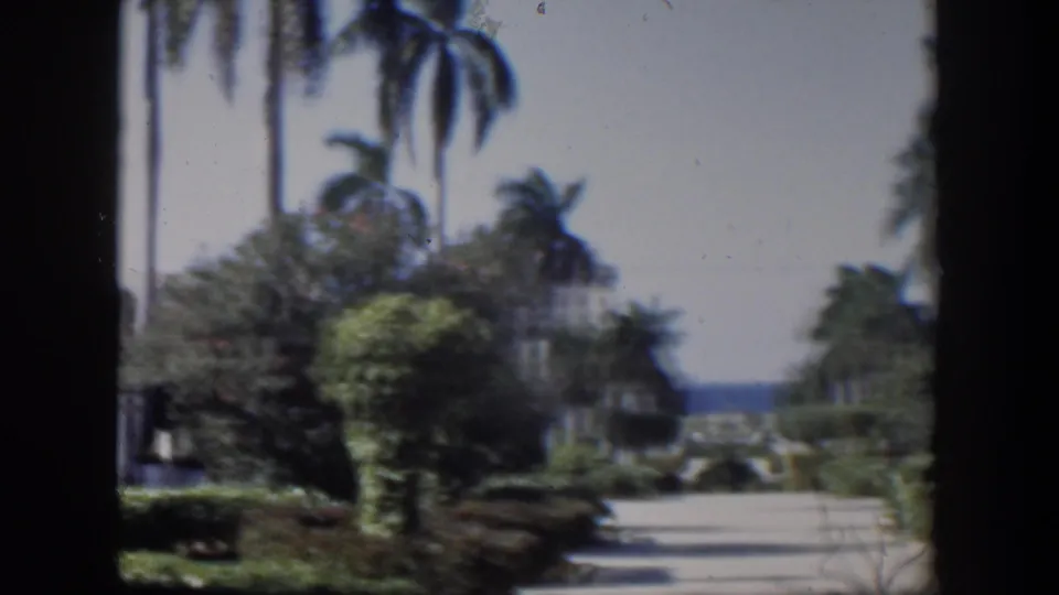 1951 Cuba home-movie view of a sunlit tropical road, palms, hedges, and distant ocean framed by dark vertical window edges.