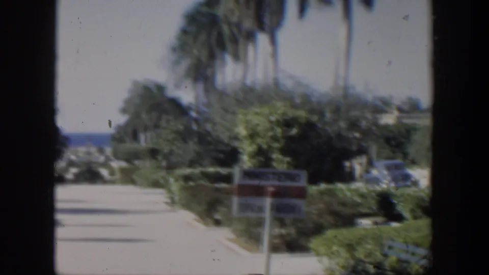 1951 Cuba roadside view with palms, trimmed hedges, a sign-like object, and distant water, partially divided by a dark window frame.