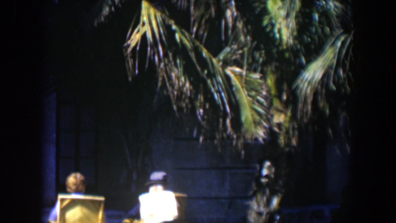Seated pair in lawn chairs beside a palm trunk with mansion windows behind them.