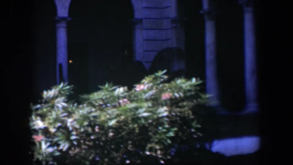 1951 Cuba home-movie frame showing dense foreground plants before a shadowed classical building with columns and arched details.