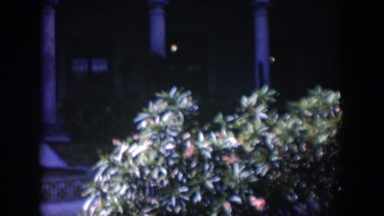 Dark courtyard with columns, leafy plants, and a bright walkway beyond.