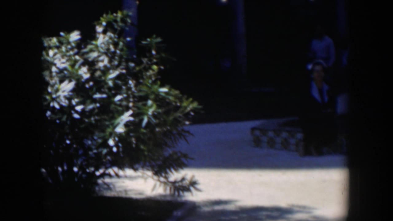A leafy shrub fills the center as people stand or pass in a shaded courtyard behind it.
