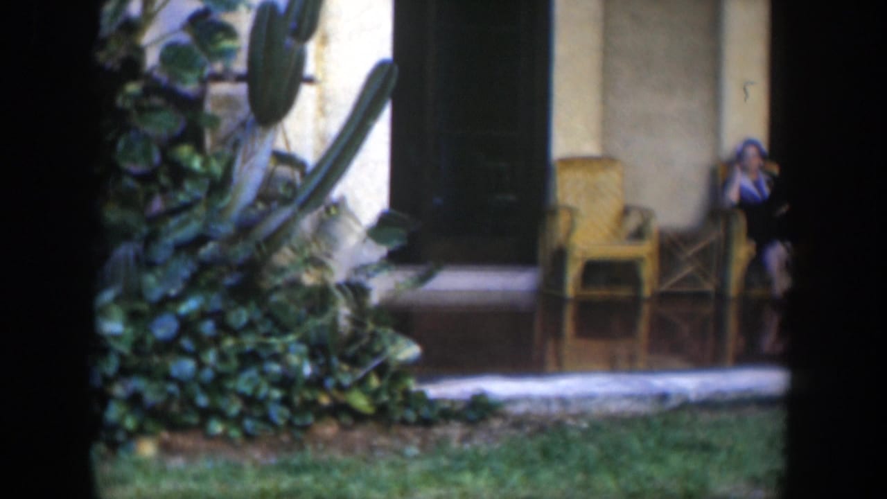 Porch with tropical plants, wicker chairs, side table, and a seated woman at the right edge.