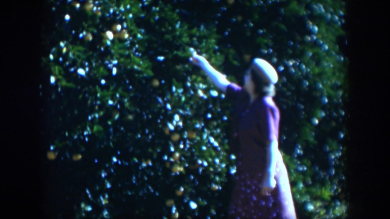 Woman in a purple dress and white hat reaches toward a fruiting tree.