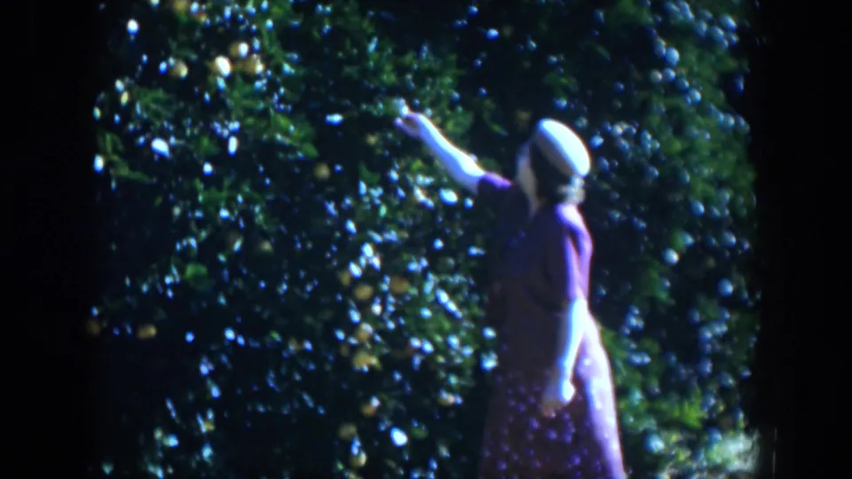 The woman remains beside the fruiting tree, arm lifted toward the leaves in soft 1951 Cuba 8mm color.