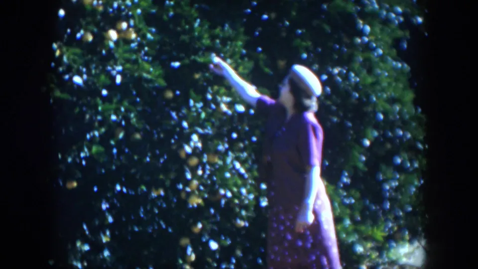 A woman in a white hat and purple dress reaches into a fruiting tree, with dark frame edges and soft 8mm exposure visible.