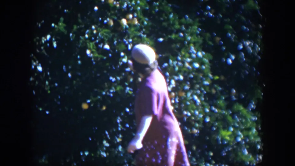 In 1951 Cuba home-movie footage, a woman in a red dress and white hat stands near dense foliage with oranges visible.