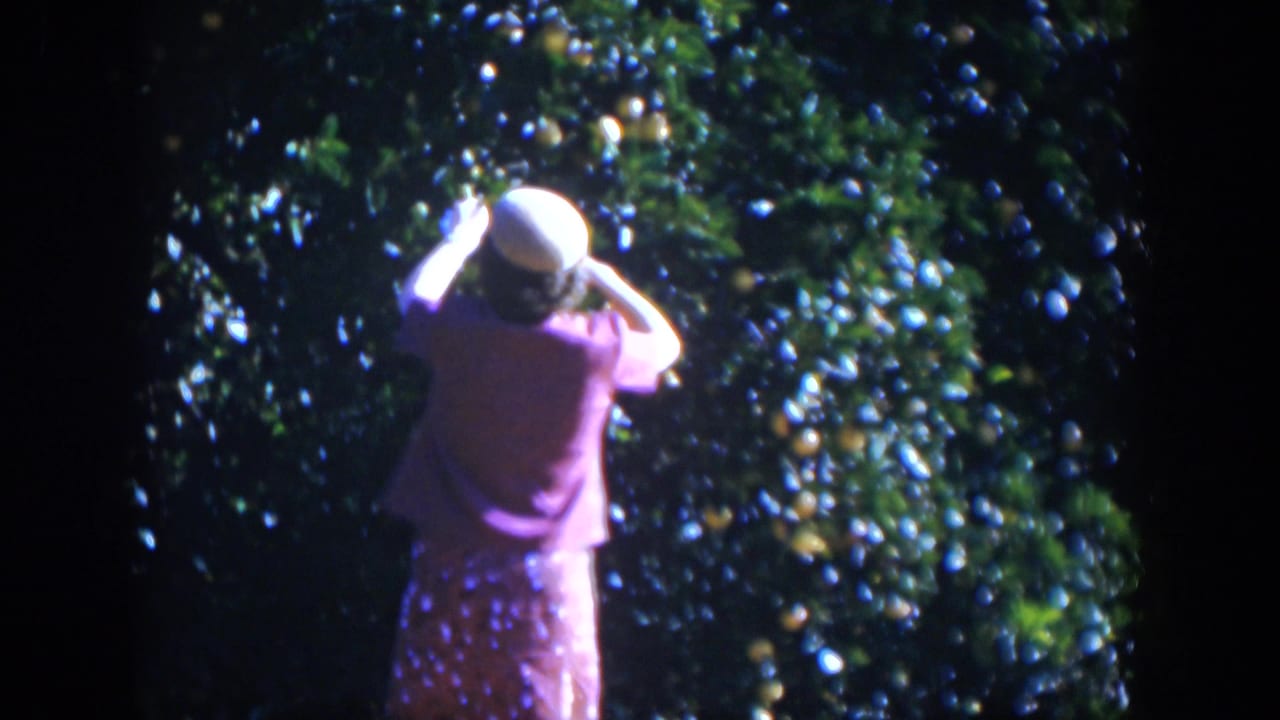 Woman in a white hat reaches into a leafy orange tree.