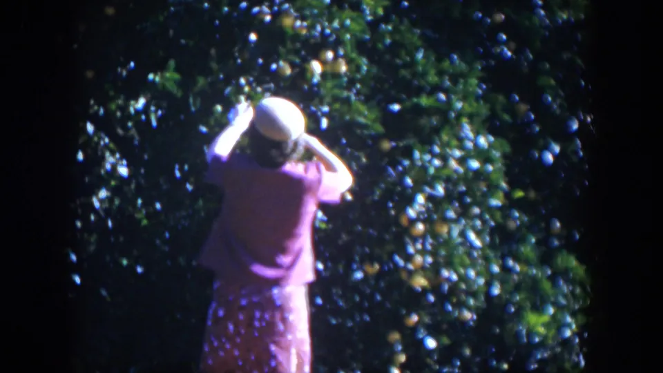 The woman reaches up toward oranges in dense green foliage, with soft 8mm color and strong daylight.