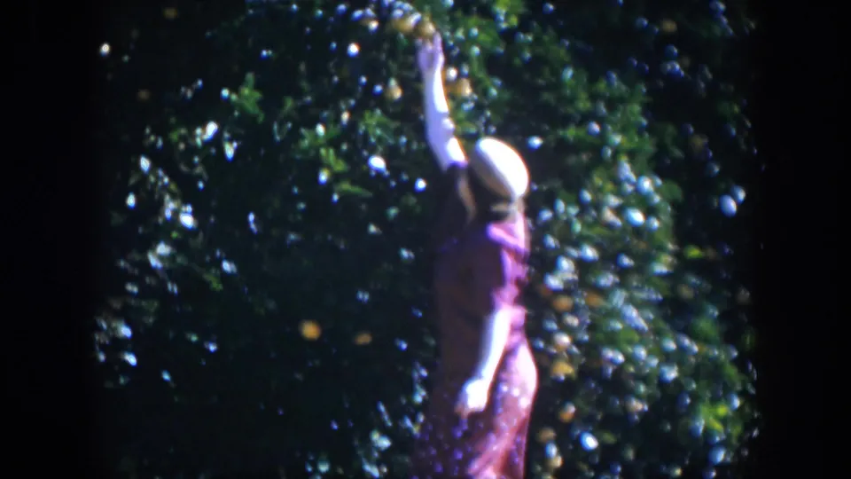 The woman stands near the fruiting tree, turned partly away, with oranges and glossy leaves filling the frame.