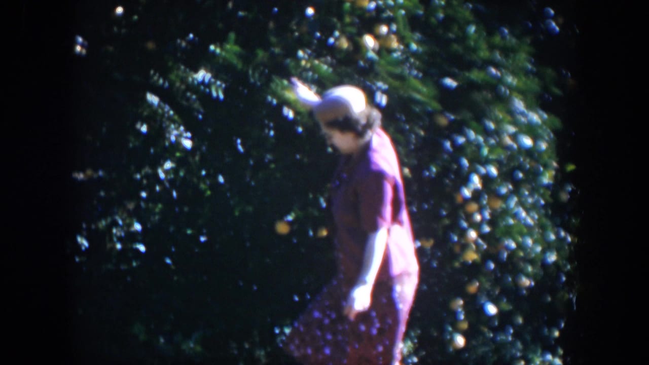 Woman in a pink dress and white hat stands beside an orange tree.