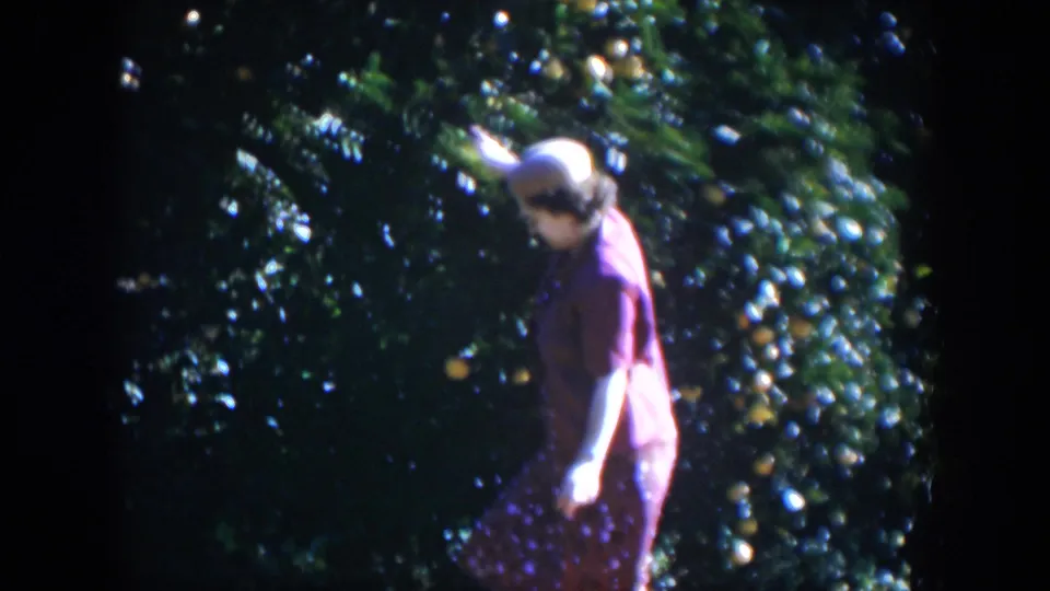 In 1951 Cuba home-movie footage, a woman in a pink dress and white hat stands near dense citrus branches in bright sun.
