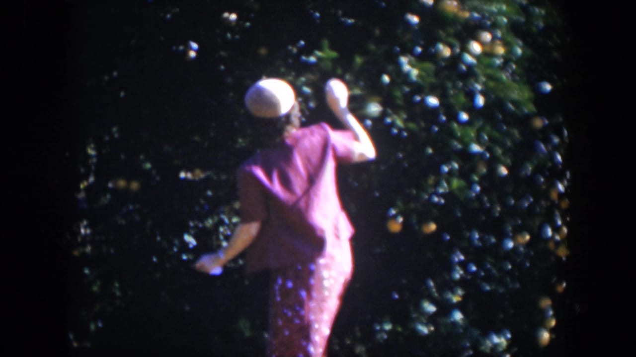 Woman reaches toward fruit on a dense orange tree.