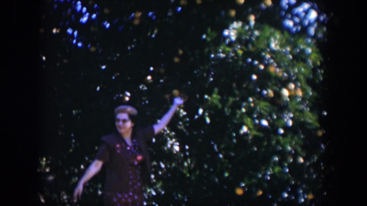 Adult woman in 1951 Cuba home-movie footage stands among dense citrus foliage, raising one arm toward the branches.
