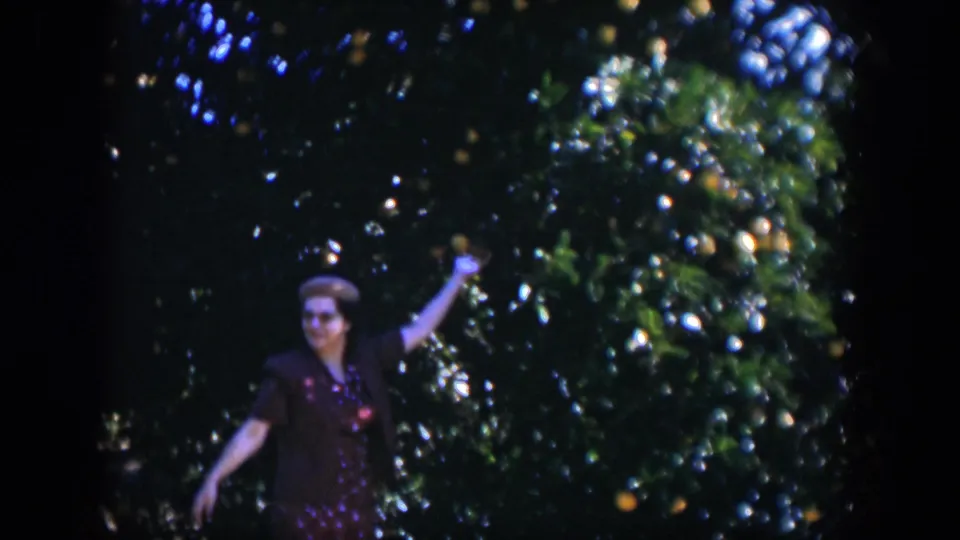 Adult woman in 1951 Cuba home-movie footage stands among dense citrus foliage, raising one arm toward the branches.