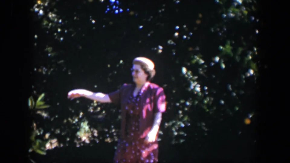 In the Cuba 1951 grove scene, the woman extends her arm while standing before shadowed citrus trees and bright leaves.