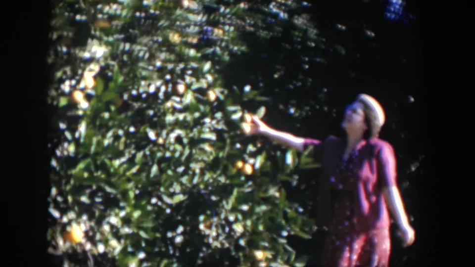 The woman points toward fruit and leaves on a citrus tree, with deep shade and bright highlights in the Cuba home-movie frame.