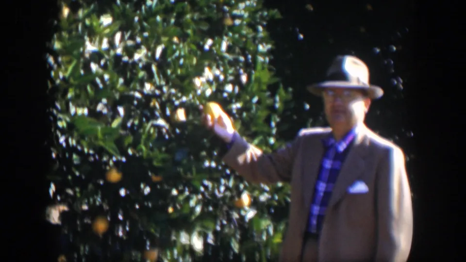 In 1951 Cuba home-movie footage, a man in a suit and fedora stands by an orange tree while holding up fruit.