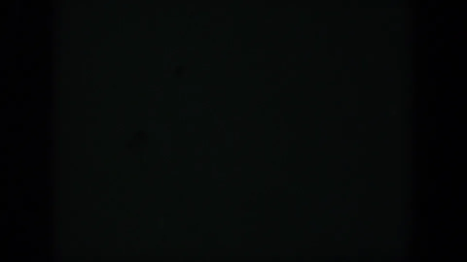 1951 Cuba 8mm frame showing a dark field divided by a soft vertical band, with slight blue-green speckling.