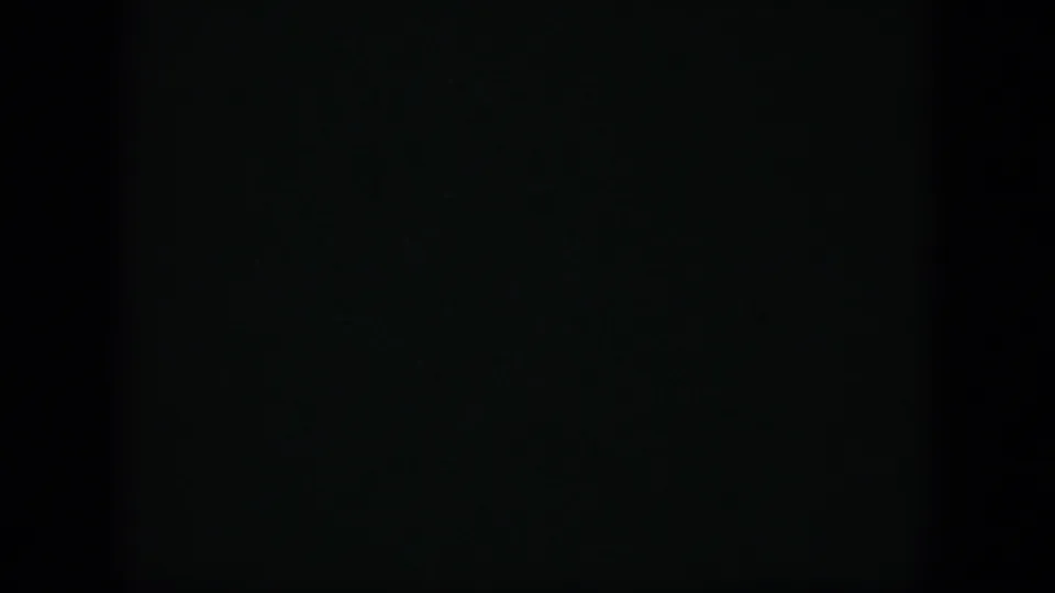 A dim 8mm frame with faint greenish areas, likely preceding the clearer orchard view in the 1951 Cuba clip.
