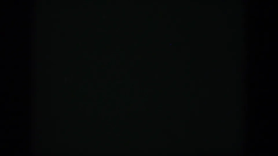 A dark 8mm frame with faint foliage-like color, but no identifiable person or setting detail is clearly visible.