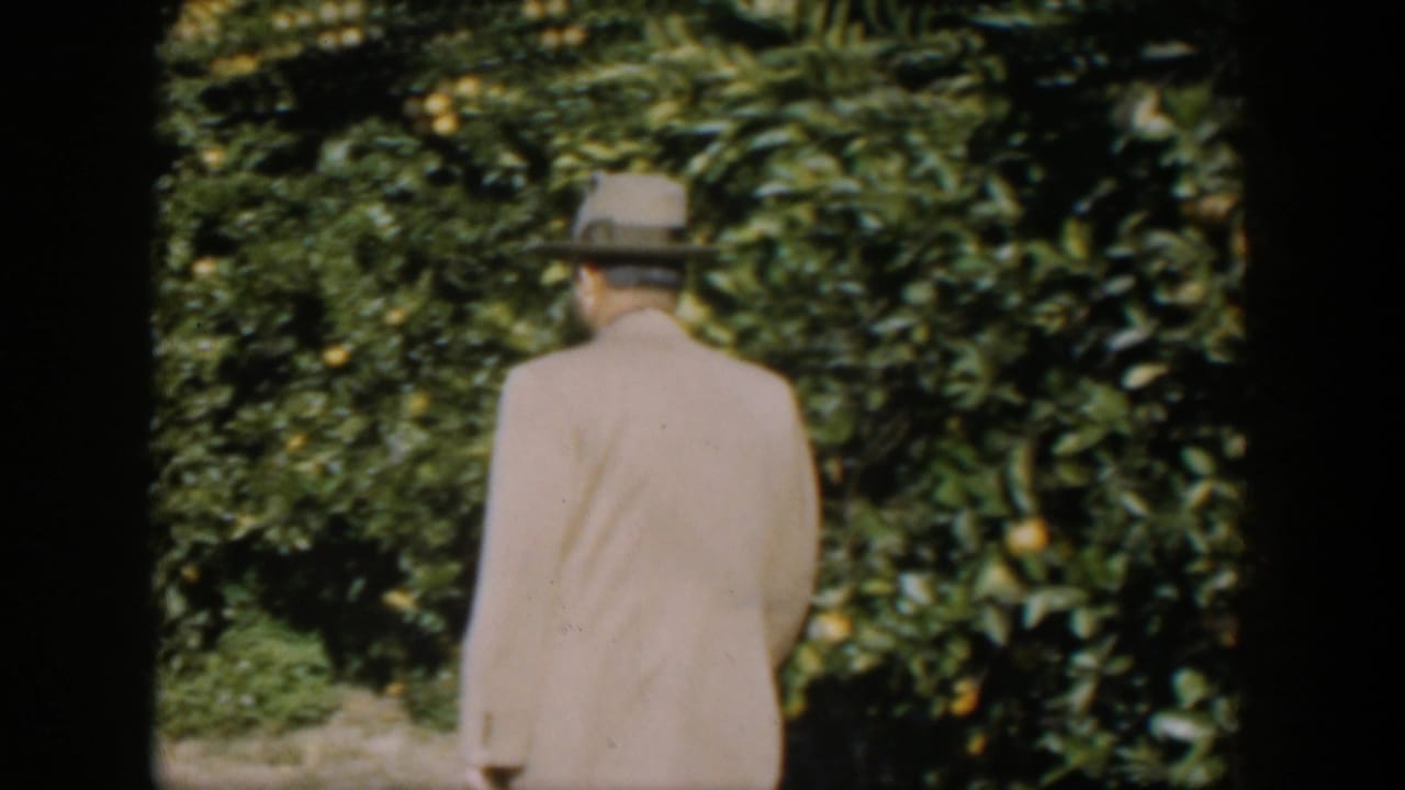Man in a light suit and fedora walks away beside dense citrus trees.