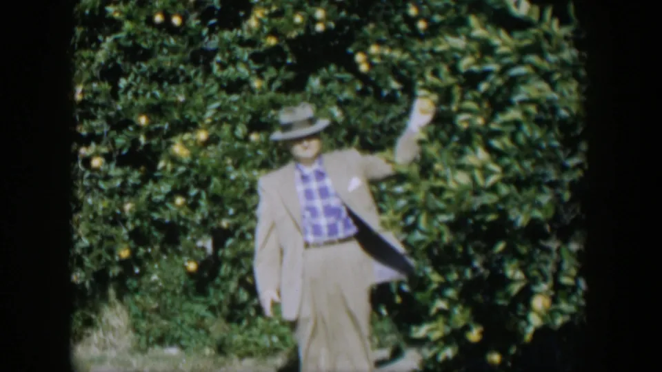 In 1951 Cuba footage, a suited man in a fedora stands in a citrus grove with an arm lifted toward the tree.
