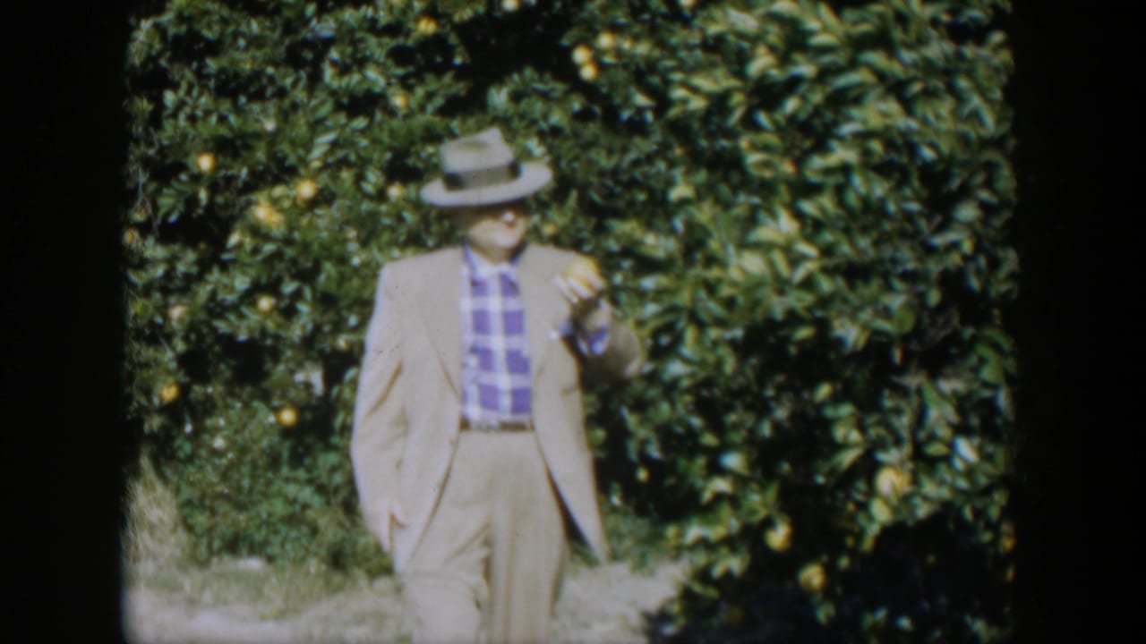 Man in a fedora stands among citrus trees holding fruit near his chest.