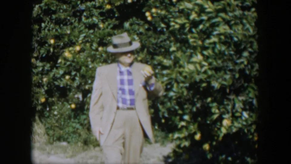 In the Cuban citrus grove, the man in a light suit and checked shirt appears to hold a picked orange near the trees.