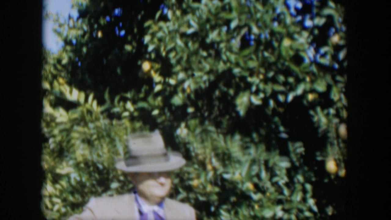 Man stands partly below citrus branches with yellow fruit overhead.