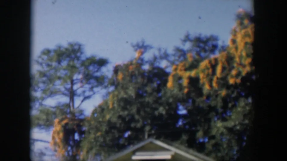 Vintage 8mm frame from Cuba showing layered trees, yellow foliage, blue sky, and a small roofline at bottom right.