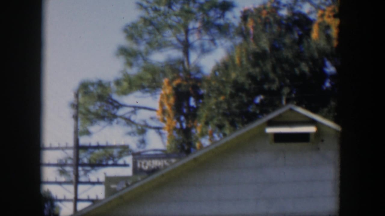 Gabled roof at right with tall trees, overhead wires, and blue sky.