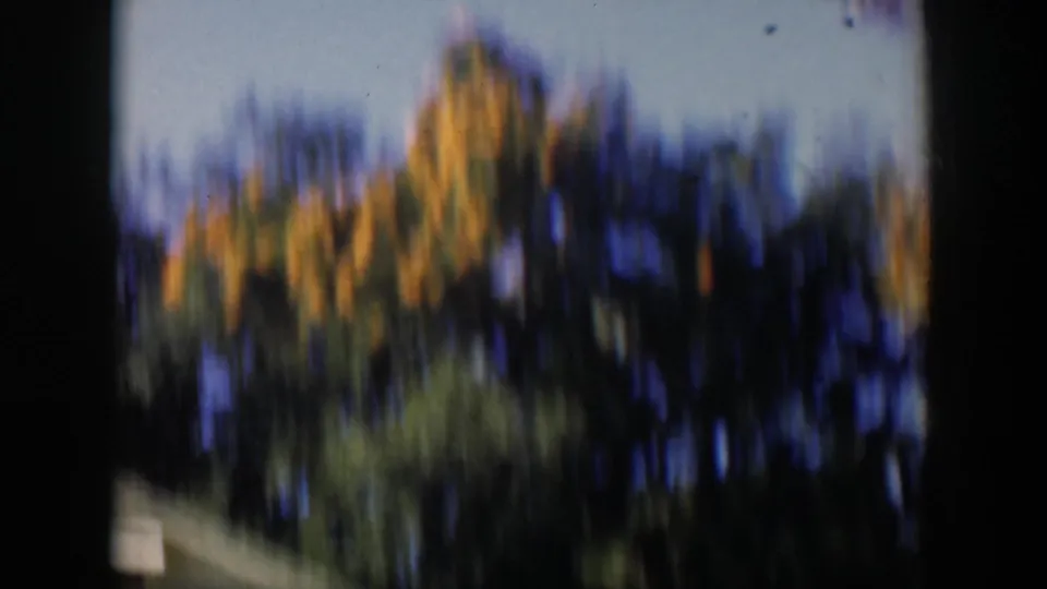Soft, motion-blurred 1951 Cuba frame with treetops and blue sky partly obscured by dark 8mm frame borders.