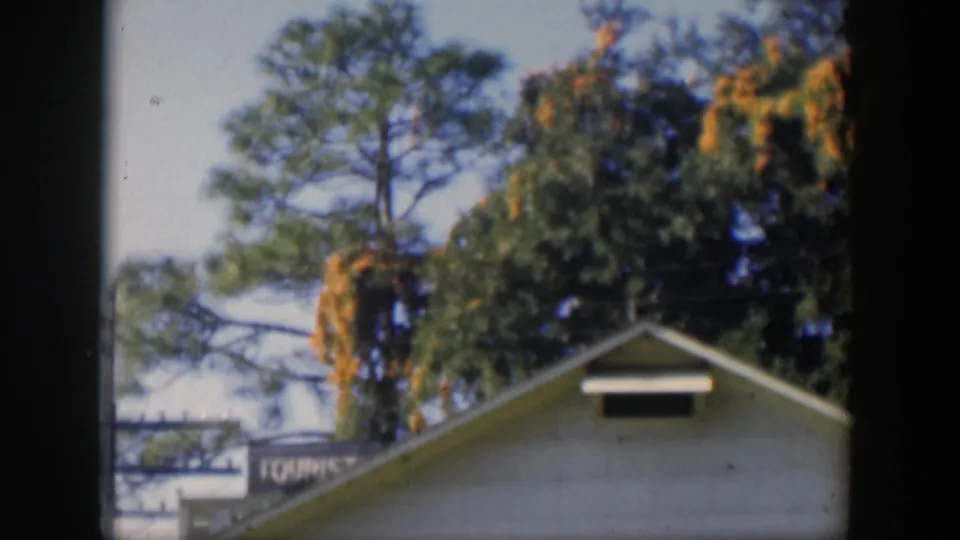 1951 Cuba home-movie view of a pale roof gable beneath tall trees and tropical foliage.
