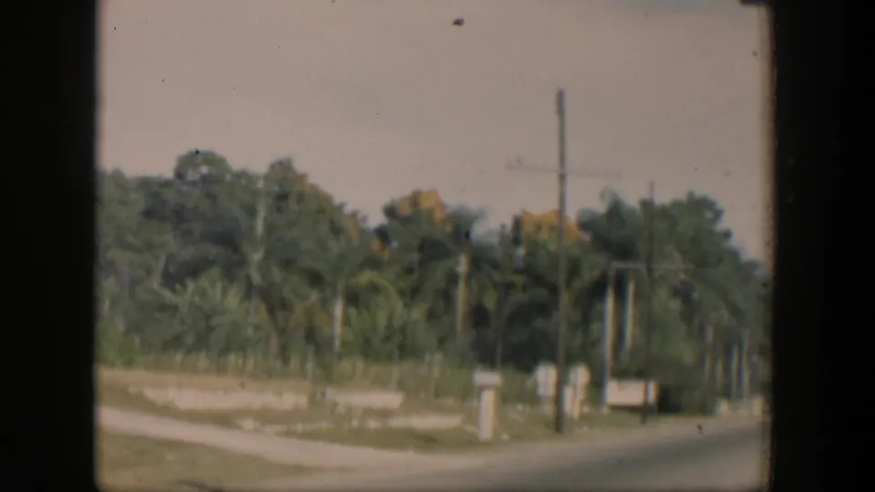 1951 Cuba 8mm frame showing a roadside scene with palms, utility poles, low walls, and a dirt path.