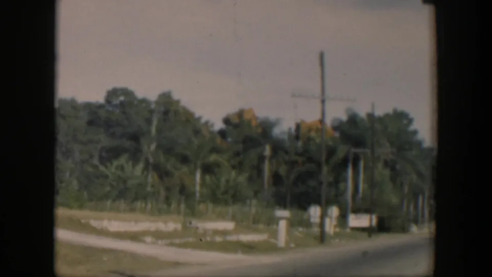 1951 Cuba home-movie frame showing a quiet roadside bordered by palms, foliage, a telephone pole, and utility lines.